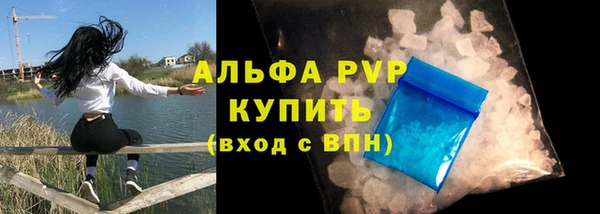 круглые Осинники