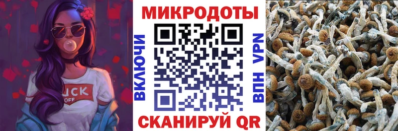 МЕГА вход  Ейск  Псилоцибиновые грибы прущие грибы 
